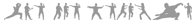 Tai-Chi Silhouette